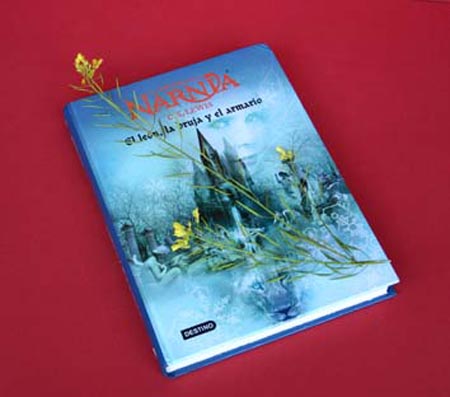 IMG_6508 paralelogramo r