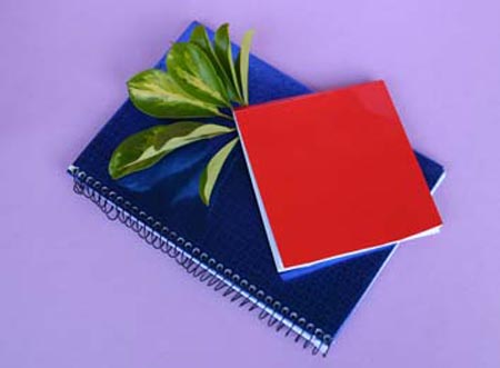 IMG_6510 rectangulo y cuadrado r