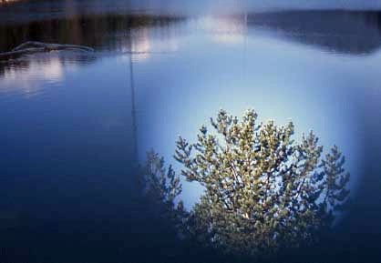 DobleEx.jpg (28847 bytes)