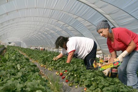 y el rojo entre sus manos
