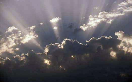 Paisa51.jpg (21304 bytes)