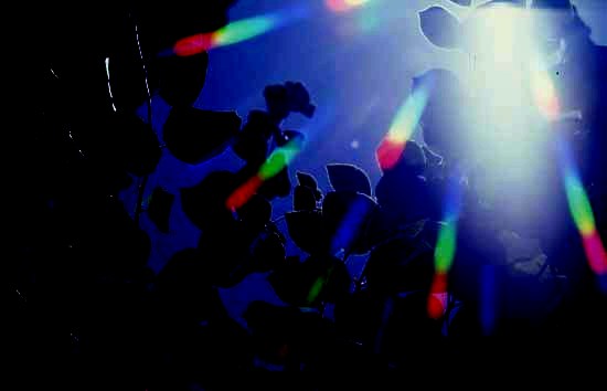 Paisa97.jpg (19607 bytes)